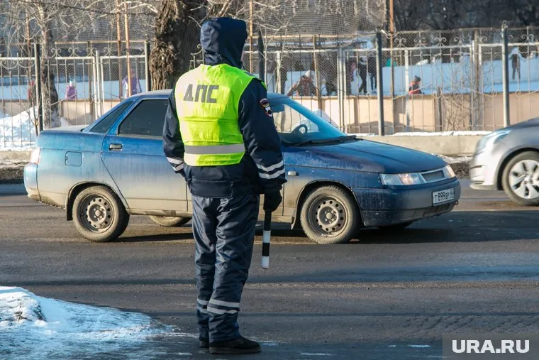 Действия несдержанной нарушительницы оценит полиция
