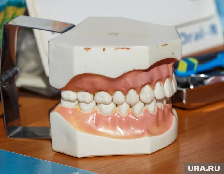 Стоматологи заключали фиктивные договоры об услугах