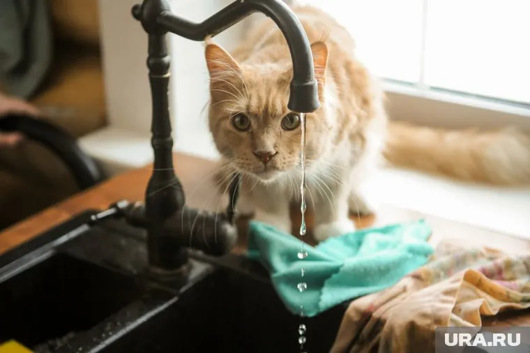 На время проведения опрессовки дома остаются без горячей воды