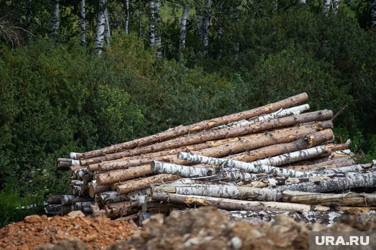 Дорогу забросали бревнами и камнями