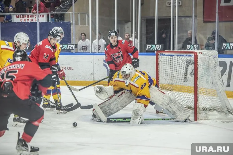 В Салехарде юным хоккеистам полностью обновят спортинвентарь (архивное фото)