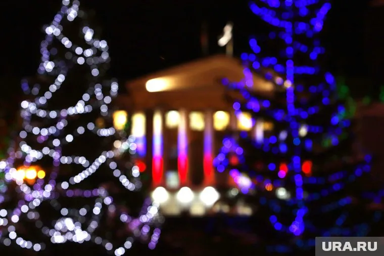 20-летнего курганца поймали при попытке украсть гирлянду на улице возле частного дома