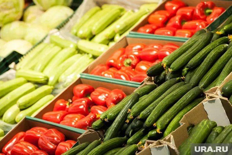 В ЯНАО подорожали огурцы, морковь и лук