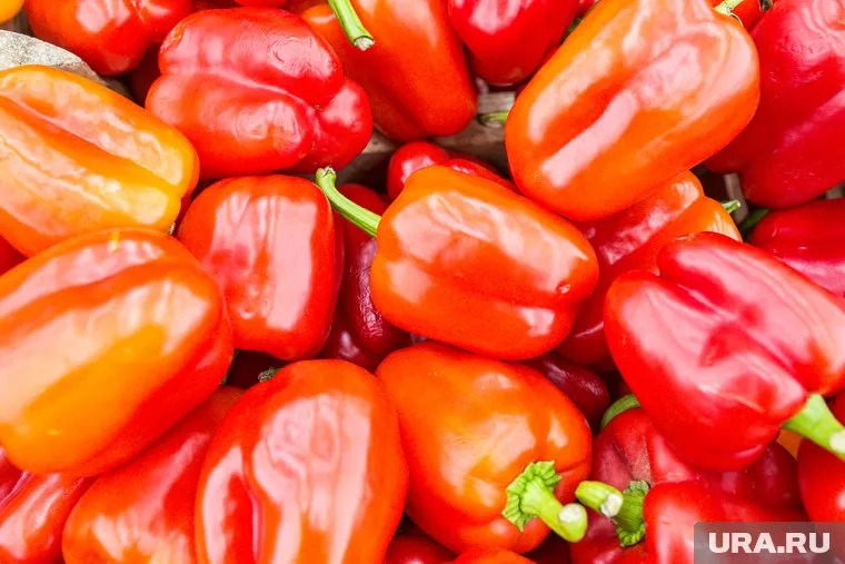 Четыре партии сладкого перца и партию фруктов вернули в Казахстан