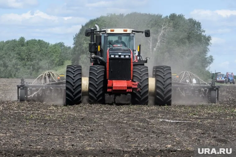 Ученые предупредили о потере урожая из-за засухи