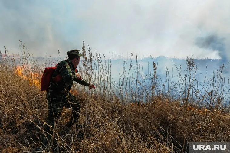 Чиновника и двух его коллег поймали местные жители, заподозрив их в поджоге