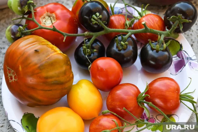 Большинство людей не может переваривать термически необработанную пищу, считает Алексей Калинчев