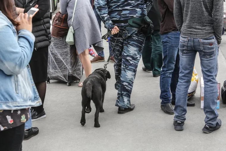 Эвакуация аэропорта Рощино. Тюмень