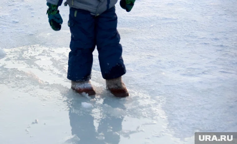 В Тюмени дети гуляли по тонкому льду Туры в компании двух собак