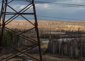 Фотография из галереи