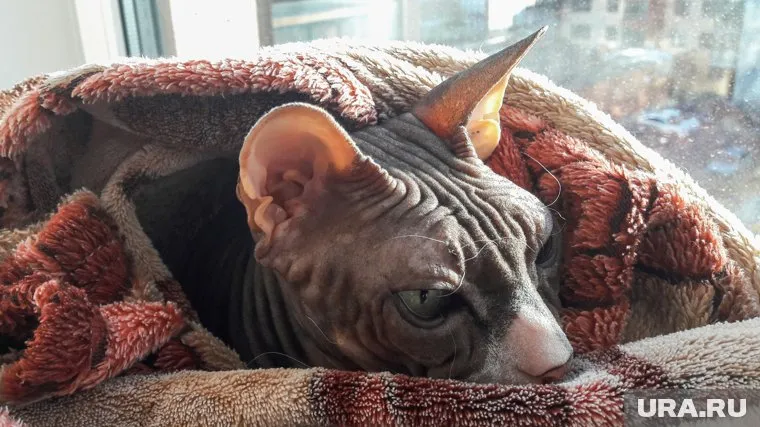 Челябинцев ждет холодная ночь