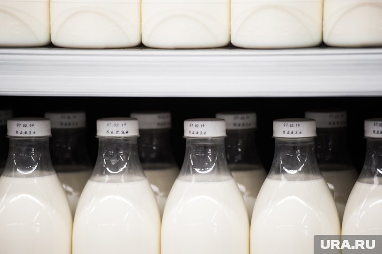 Китайские инвесторы приехали на заводы Кургана ради переговоров по молоку и муке. Инсайд