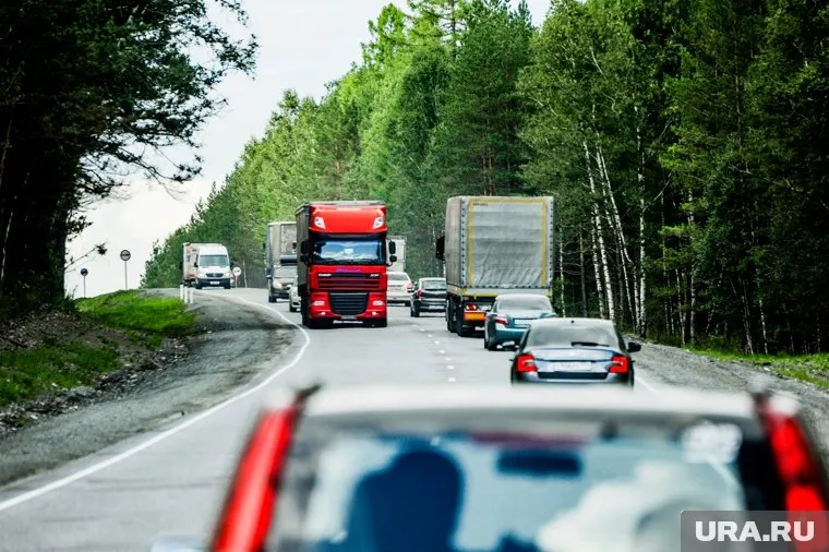 Под колеса автомобилей стали чаще попадать дикие животные