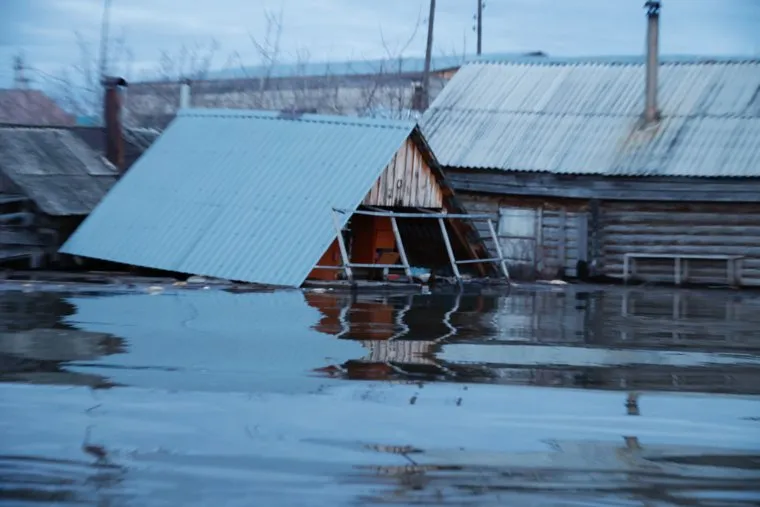 Звериноголовское. Курган