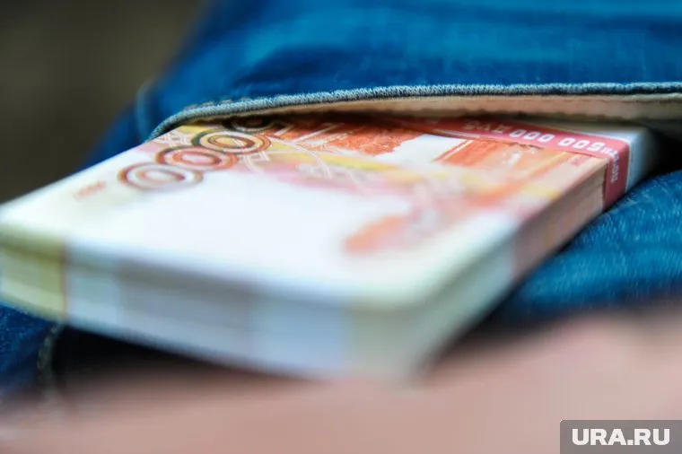 Галина Будыгина оставила бывшего работодателя без пяти миллионов рублей