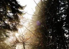 Фотография из галереи