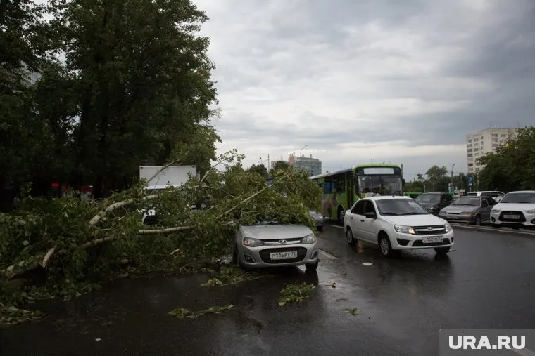 Летом прошлого года стихия уже потрепала регион