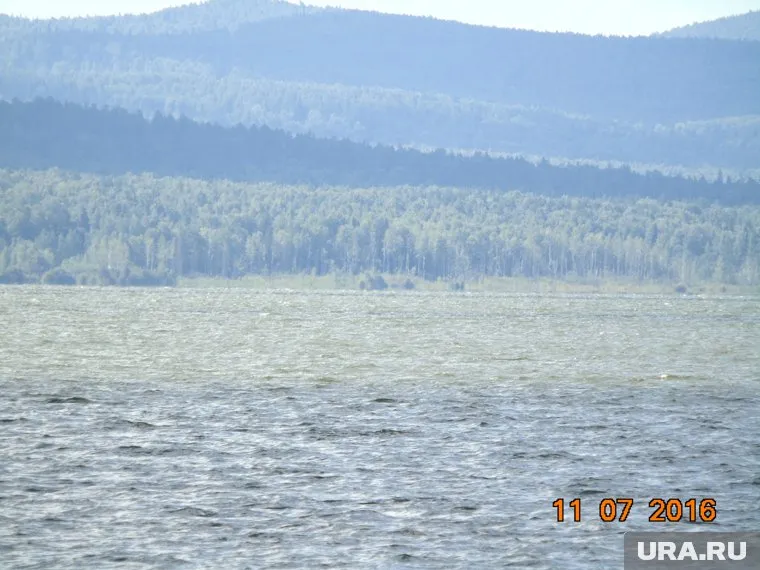 Жара усугубила цветение водорослей в водохранилище