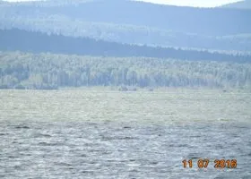 Жители уральского города годами пьют воду из пруда, где гибнет рыба