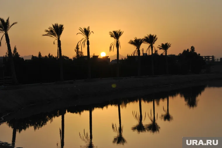 В РСТ подтвердили гибель россиянки в ДТП в Египте