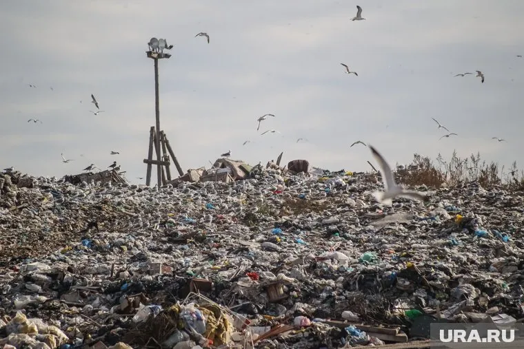 Свалки стали надежным убежищем для убийцы