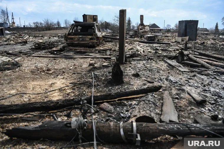 Куйвашев проверил ход восстановления территории после пожаров на севере Свердловской области