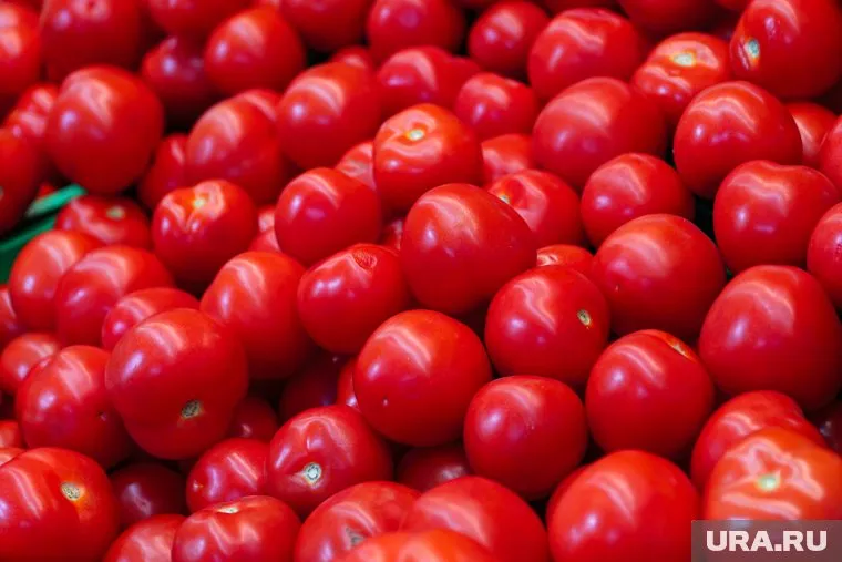 Все зараженные овощи уничтожили