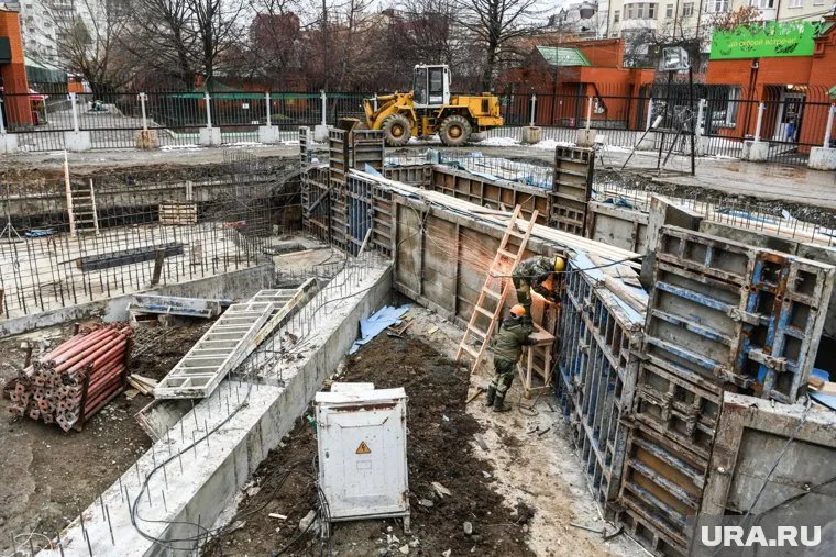 Большой ремонт вольера для белой медведицы подорожал