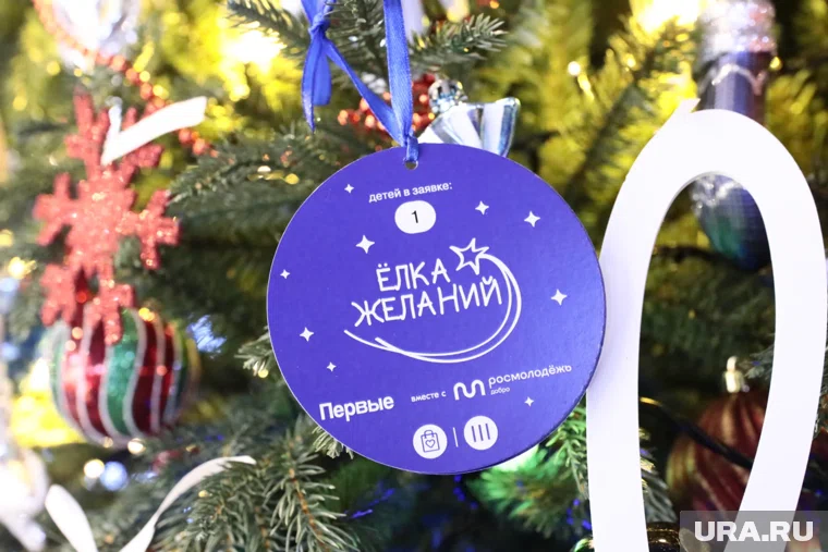 Если в семье несколько детей, то их новогодние желания могут исполнить разные люди