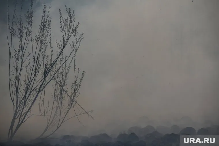 В тушении пожара задействованы девять машин спецтехники