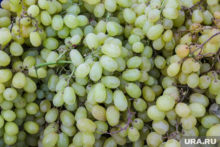 Виноград доставлялся из Казахстана и Китая