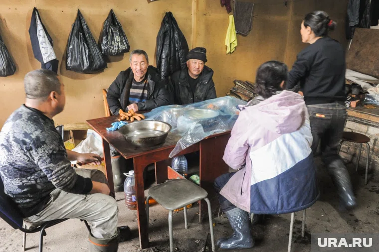 Челябинска фиктивно трудоустроила 16 мигрантов 