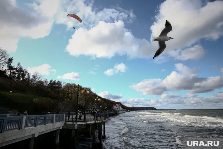 Академик РАН оценил возможность отпуска россиян за границей