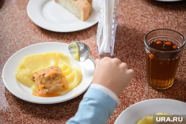 Сотрудники прокуратуры проверят качество и рацион питания школьников