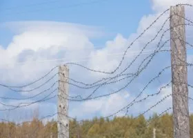 Сообразили на троих