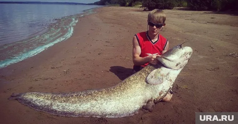 Добыча пермского рыбака испугала обитателей соцсетей