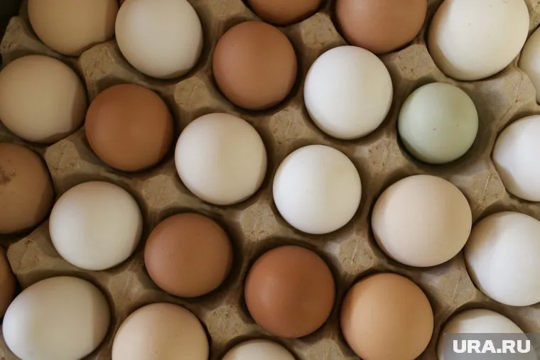 Жители Ямала не смогут купить больше 3 лотков яиц в сервисе доставки продуктов