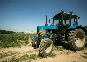 В Тюмени уничтожили 200 тысяч квадратных метров конопли