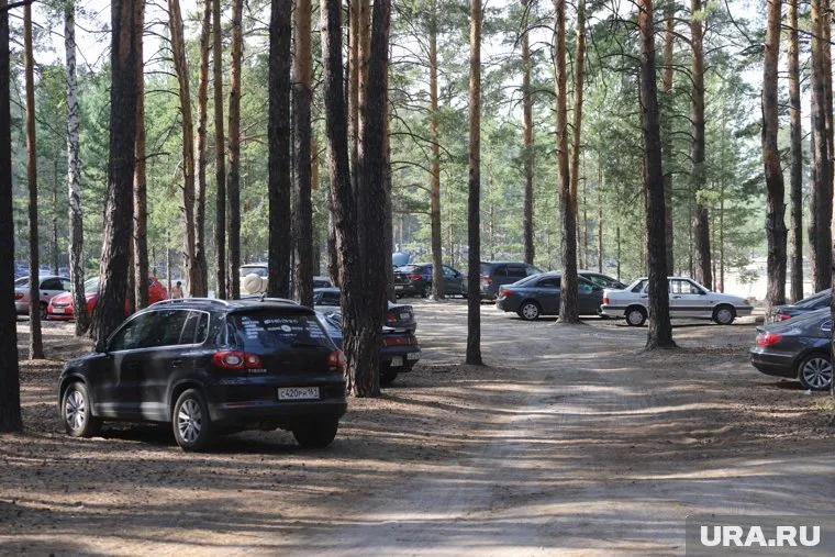 Курганцам запретили посещать леса из-за жаркой погоды