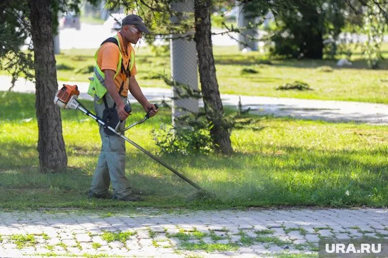 В Новом Уренгое косильщик газонов нашел сумку с деньгами 