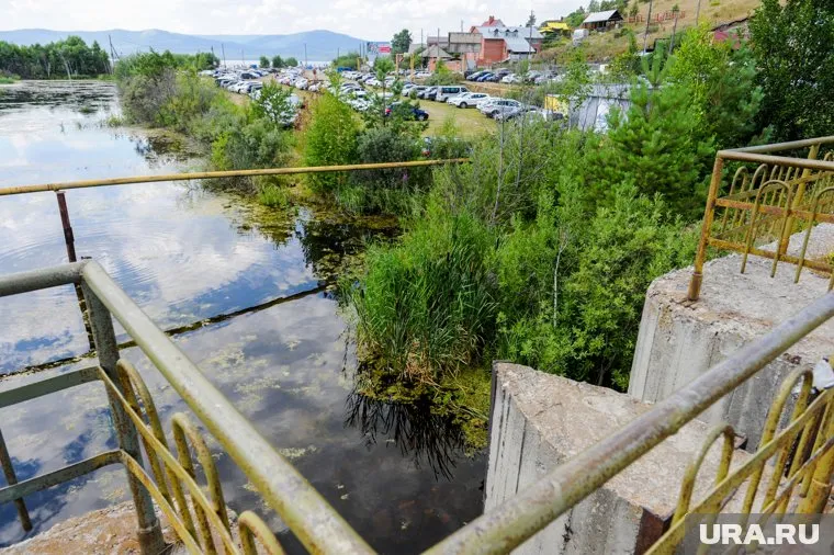 Животное застряло на нижнем ярусе плотины (фото из архива)