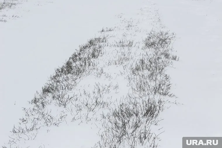 22 сентября Южную Африку накрыл аномальный снегопад