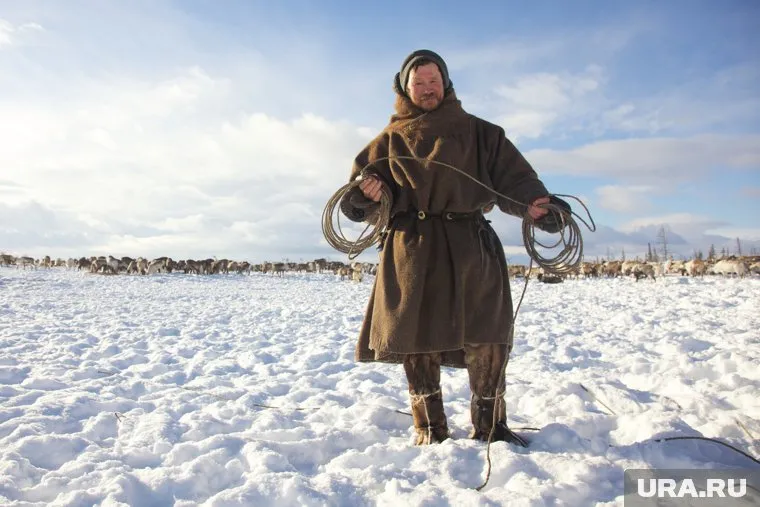 Оленевод отметил, что нефтяники стараются беречь тундру (фото из архива)