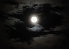 Фотография из галереи