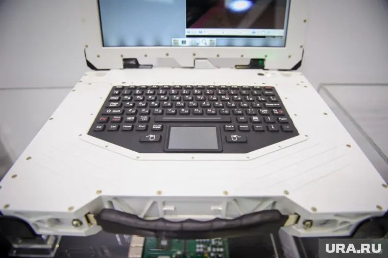 Алгоритм компьютера анализировал уровень рождаемости в мире