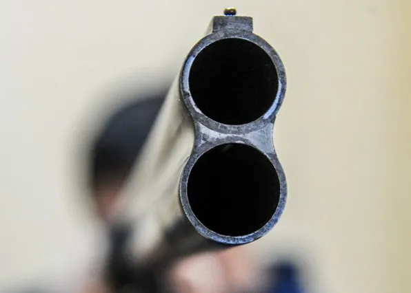 Фотография из галереи