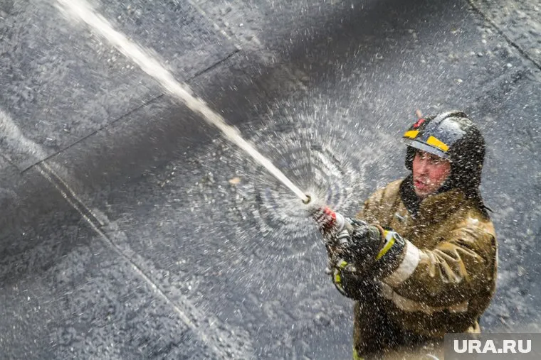 Подожгли садовый домик главы крупнейшего оборонного концерна Германии Армина Паппергера