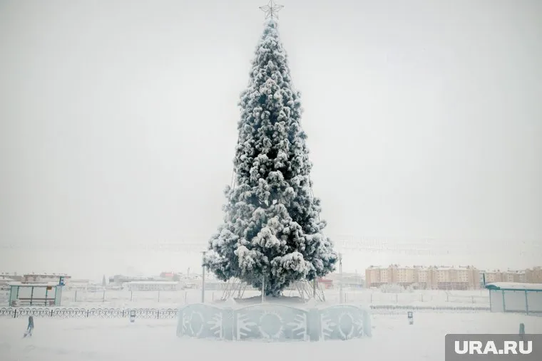 Губернаторскую елку в ЯНАО посетят дети из Волновахи