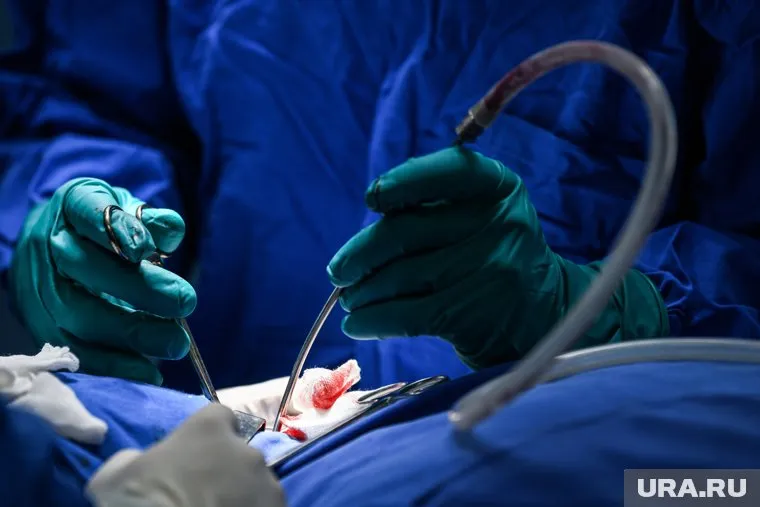 Болезни системы кровообращения занимают 47% в структуре смертности в России