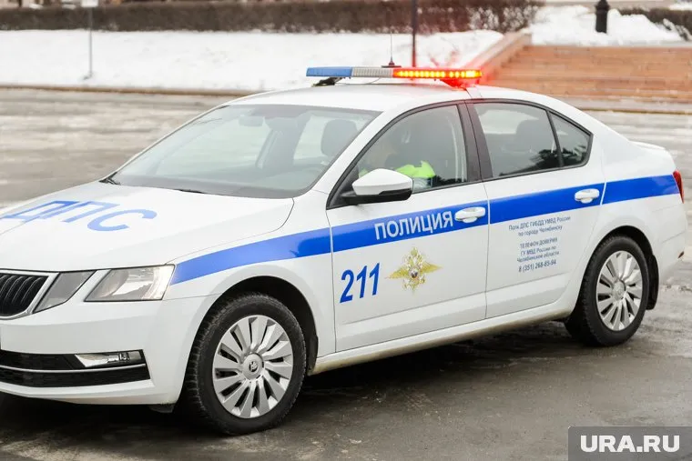 Полицейские Челябинской области поздравили с Днем России